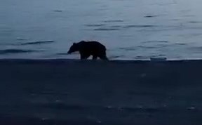 Общество