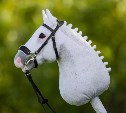 В России требуют запретить признание хоббихорсинга видом спорта