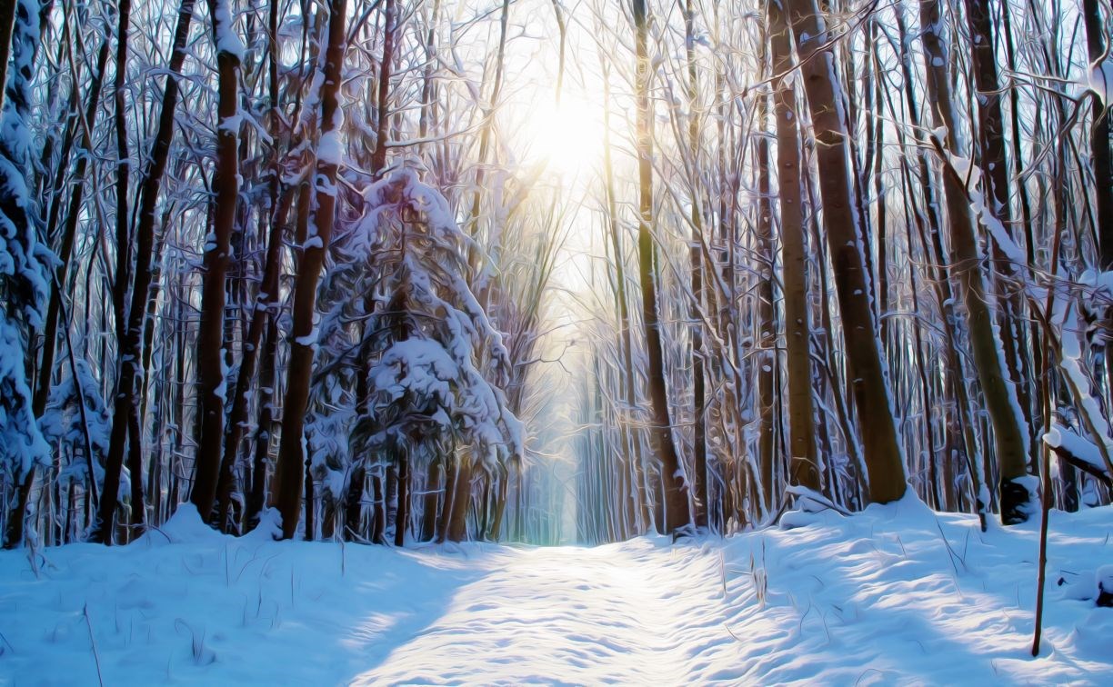 Морозы сменят метели: прогноз погоды в Сахалинской области на 16 января