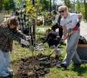 У филиала Щукинского института в Южно-Сахалинске высадили сирень, которую любил Евгений Вахтангов