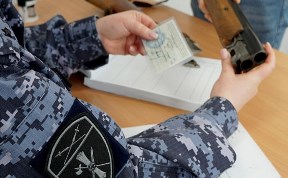 Общество