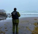 После смертельного падения туриста со скалы на Итурупе СК возбудил дело на организатора экскурсии