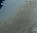 В минэкологии озвучили предположительную причину загрязнения моря в порту Невельска