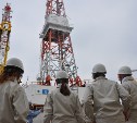 Студенты-нефтяники СахГУ вернулись после практики в Японии