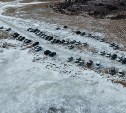 На Сахалине дрон зафиксировал автомобилистов-нарушителей, припарковавшихся возле Буссе 