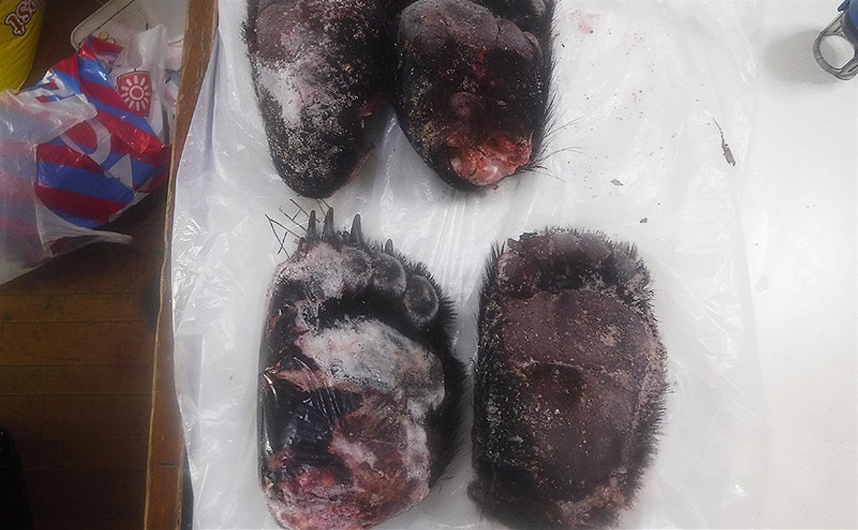  "Это на суп": на прибывшем на Сахалин судне нашли лапы гималайского медведя 