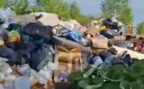 Общество