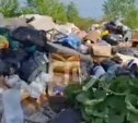 СНТ Южно-Сахалинска захватывает огромная свалка, которая разрастается прямо у дороги