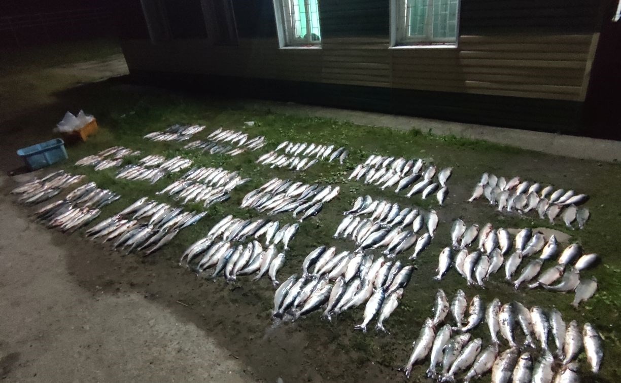 Пограничники задержали двоих сахалинцев с полутонной лососей и 20 кг икры