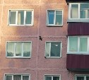 В Южно-Сахалинске белка с разбега забралась по дому до пятого этажа