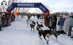 Общество