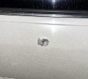 Сахалинцы сообщают о "влиятельном человеке", который сбил насмерть собаку на пляже, а потом стрелял по авто 