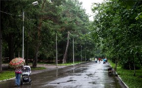В городском парке Южно-Сахалинска начинают текущий ремонт