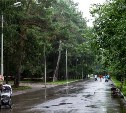 В городском парке Южно-Сахалинска начинают текущий ремонт
