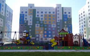 Общество