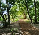 Погода в Южно-Сахалинске 23 августа: днём до +26°С и небольшой дождь