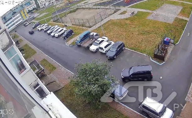 Полиция начала проверку по факту жуткого случая с кошкой в Охе