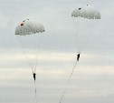 В этом году военнослужащие подразделений морской пехоты и спецназначения ВВО совершат рекордное количество прыжков с парашютом