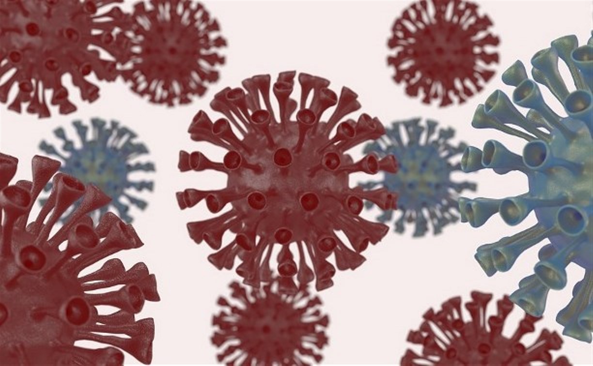 На Сахалине за сутки подтвердили 37 случаев коронавируса