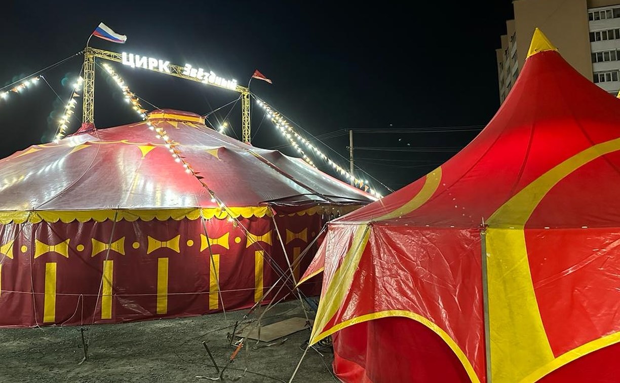 Большой Новосибирский цирк "Звёздный" приезжает на Сахалин с новой программой
