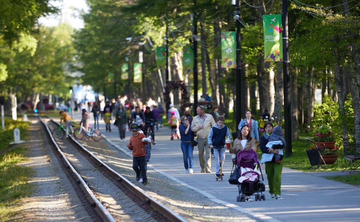 Фотовыставка откроется в городском парке Южно-Сахалинска