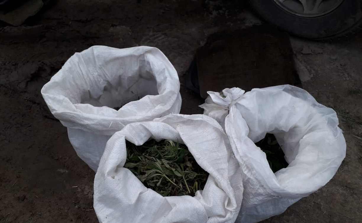Трех жителей Углегорска с мешками конопли задержали полицейские