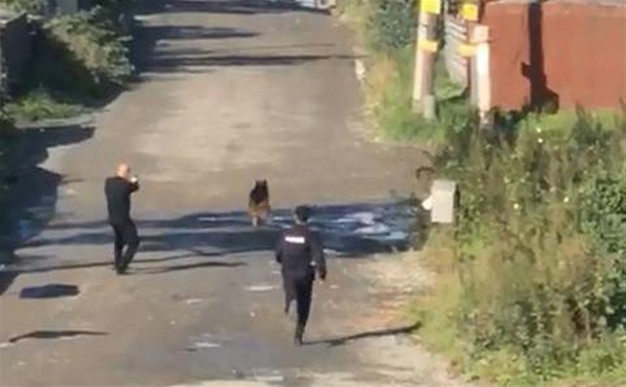 В Южно-Сахалинске полицейские застрелили собаку