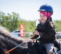 В Троицком прошли очередные соревнования по адаптивному конному спорту