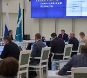 Губернатор Сахалинской области потребовал от глав ряда районов повысить темпы догазификации 