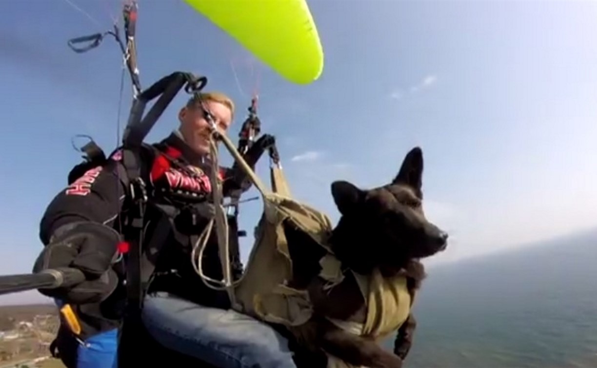 Сахалинец летает на параплане вместе со своим псом