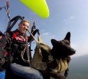 Сахалинец летает на параплане вместе со своим псом