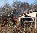 Более 20 гектаров выгорело: с начала года в Сахалинской области потушили 41 пал травы