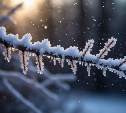 Погода на Сахалине 14 октября: снежно на севере, тепло на юге