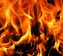Двое пожарных справились с огнём в Стародубском