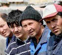 В следующем году на Сахалин приедет меньше мигрантов