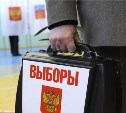 Несколько кандидатов в губернаторы Сахалинской области прошли «муниципальный фильтр»