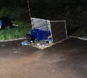 Медведи зашли в Северо-Курильск - за одну ночь они посетили три улицы