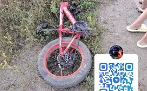 Общество