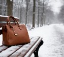 Москвичка оставила без присмотра сумку на скамейке в Южно-Сахалинске и лишилась имущества