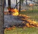 Высокая пожарная опасность прогнозируется в пяти районах Сахалина 
