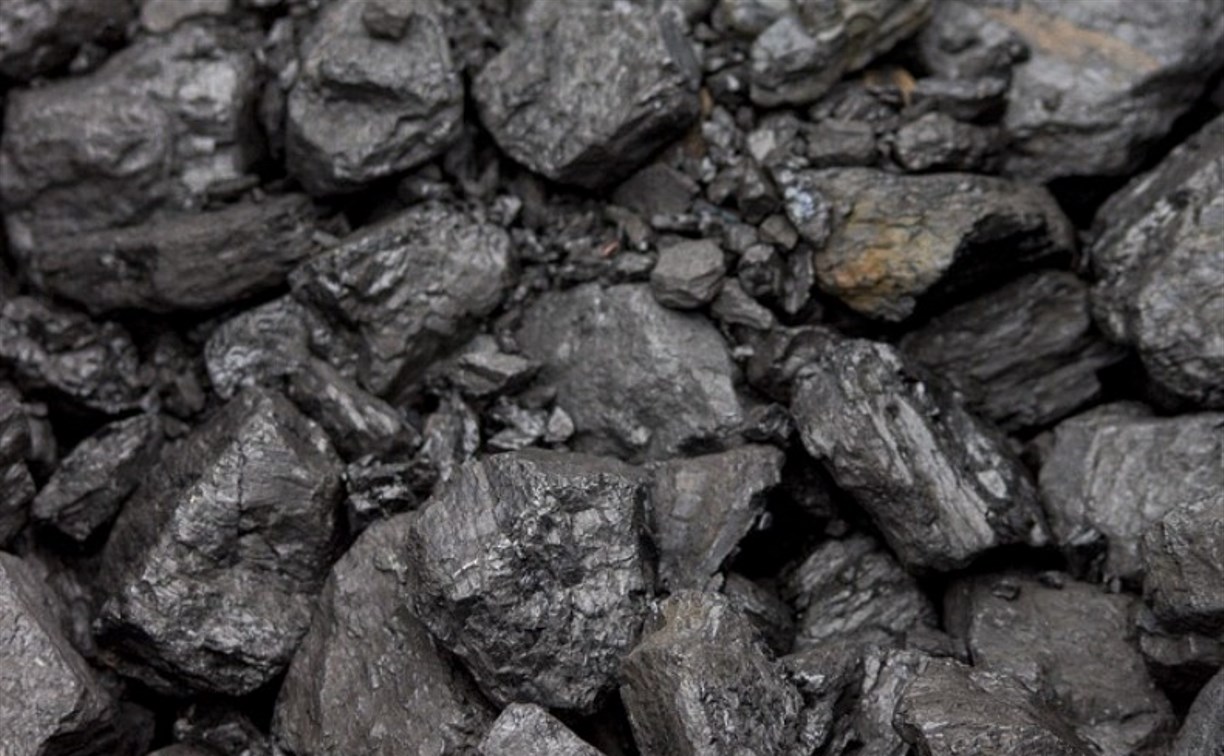 Сахалинцы и курильчане могут самостоятельно приобретать уголь через чат-бота