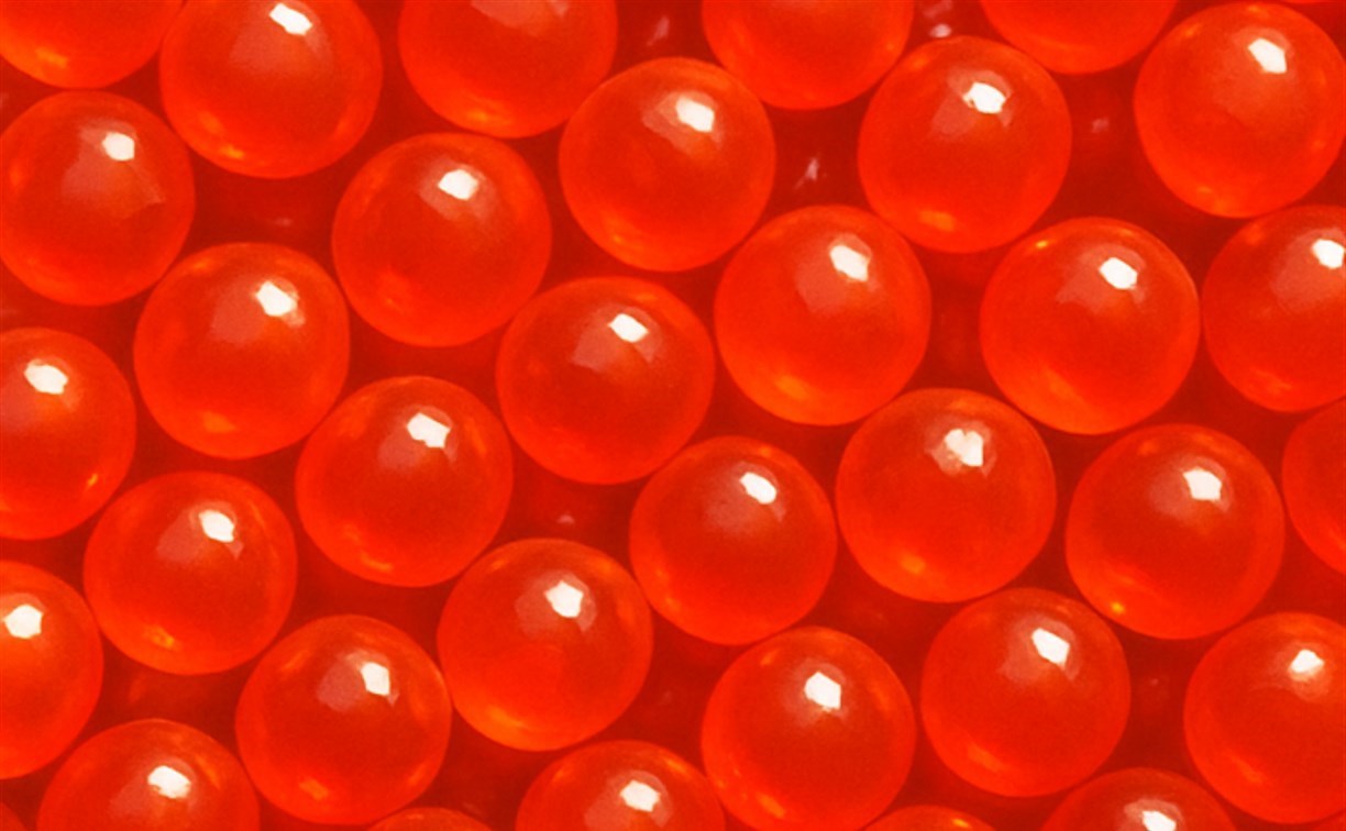 В красной икре нашли кишечную палочку: Роскачество проверило популярные бренды