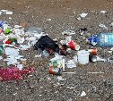 Семья из Южно-Сахалинска убрала мусор за отдыхающими на пляже в Пригородном