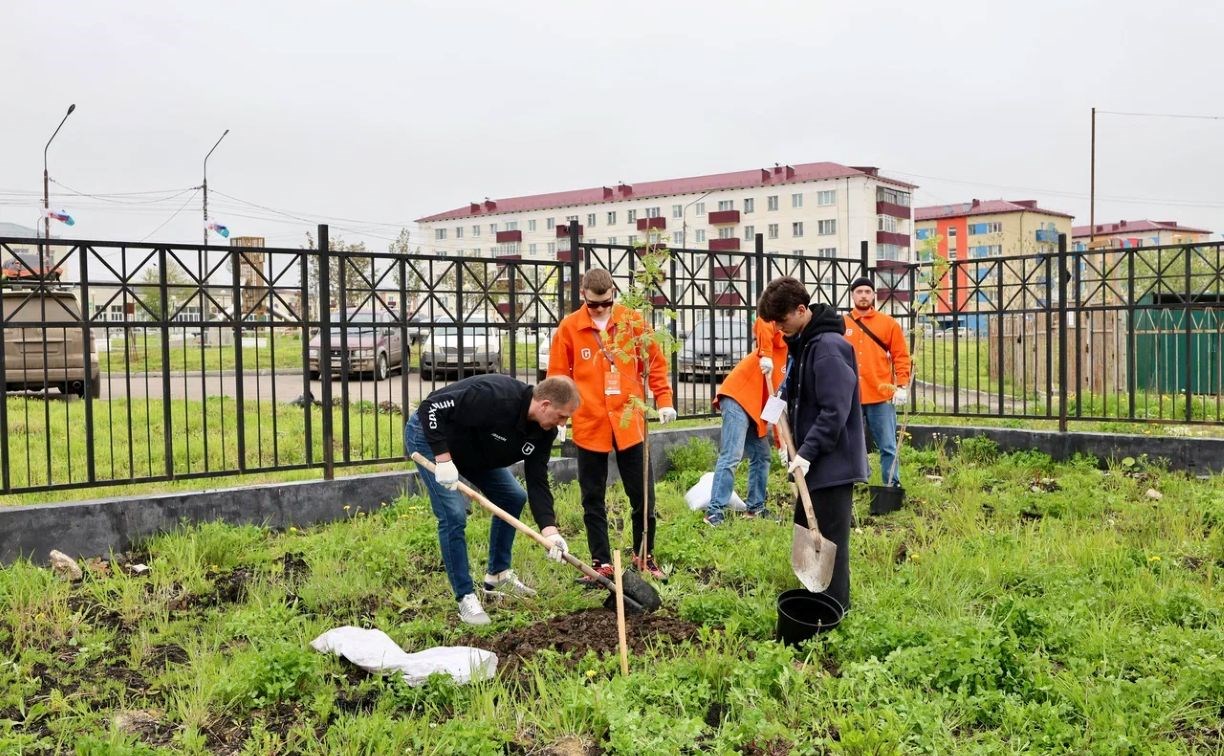 Участники молодёжного форума угольщиков на Сахалине высадили деревья в память о ветеранах отрасли