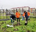 Участники молодёжного форума угольщиков на Сахалине высадили деревья в память о ветеранах отрасли