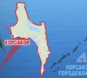 Житель Корсакова украл из чужого гаража электроинструменты и бензопилу