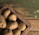 Двух жителей Углегорска осудили за кражу картошки, портвейна и телефона