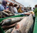 Опыт Сахалинской области по обеспечению населения рыбой по доступным ценам могут применить в других регионах 
