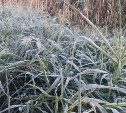 Заморозки ударили по Южно-Сахалинску