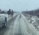 Лошади устроили дорожные гонки с сахалинскими автомобилистами